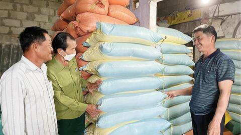 Cựu chiến binh giúp nhau làm giàu