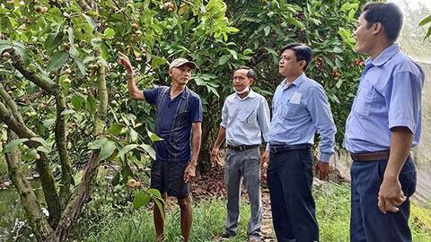 Hỗ trợ nhân dân phát triển sản xuất 
