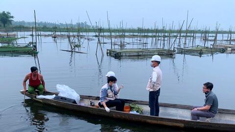 Hương Thủy: Cá lồng lại chết hàng loạt