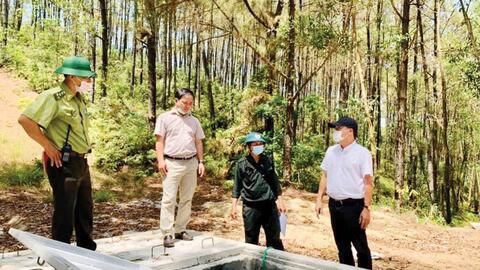 Ứng phó cháy rừng