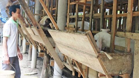 Giá dê hơi tiếp tục tăng 