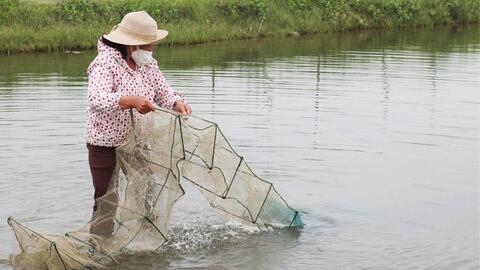 Đảm bảo tăng trưởng tín dụng khu vực thành phố