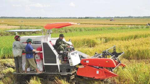 Thu hoạch lúa, đề phòng dông sét