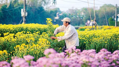 Liên kết để nâng cao giá trị sản phẩm