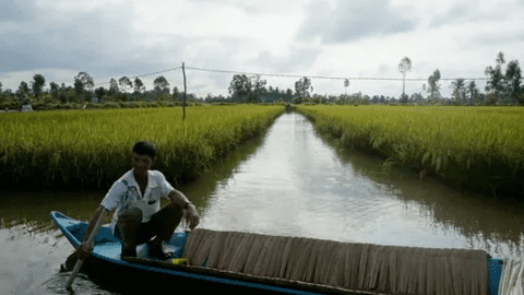 Ngành tôm và thách thức từ nguồn phát thải 