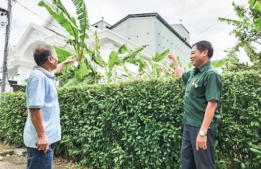 Làm giàu từ nuôi yến 