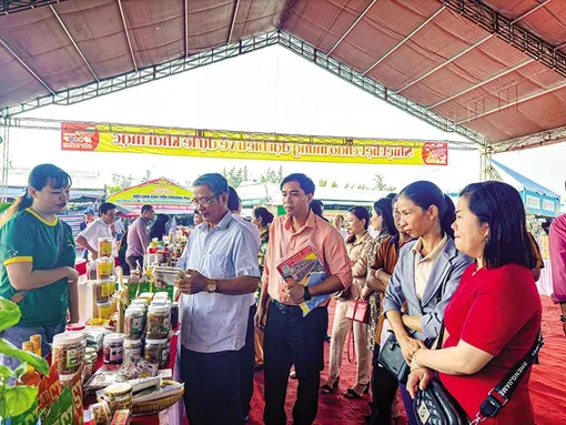 Kết nối cung cầu giữa nhà sản xuất và nhà phân phối 
