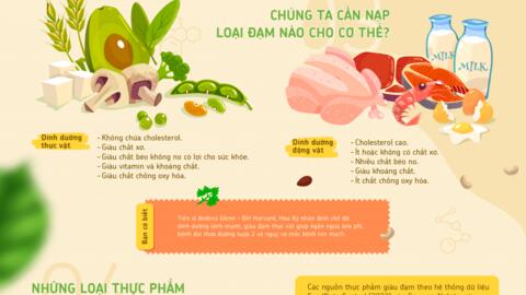 Những điều cần biết về đạm, bí quyết sống khỏe với đạm thực vật