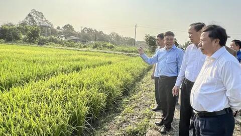Bài cuối: Thay đổi tư duy, tạo giá trị gia tăng cho chuỗi ngành hàng 