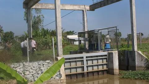 Chủ động ứng phó khô hạn, xâm nhập mặn 