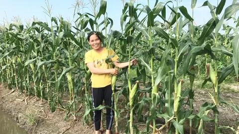 Cần lao phát triển kinh tế gia đình 
