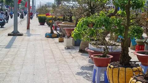 Đảm bảo hàng hóa chất lượng, an toàn toàn phục vụ mua sắm dịp Tết 