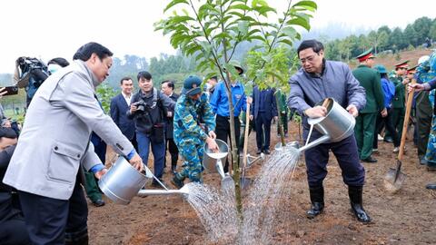 Triển khai “Tết trồng cây đời đời nhớ ơn Bác Hồ” thiết thực, hiệu quả