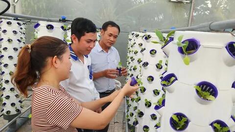 Cái Răng đưa nông nghiệp đô thị chuyển biến về chất 