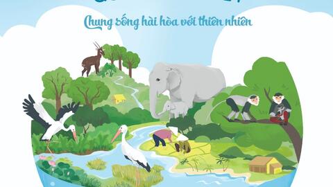 Quảng Nam triển khai chuỗi hoạt động bảo vệ đa dạng sinh học