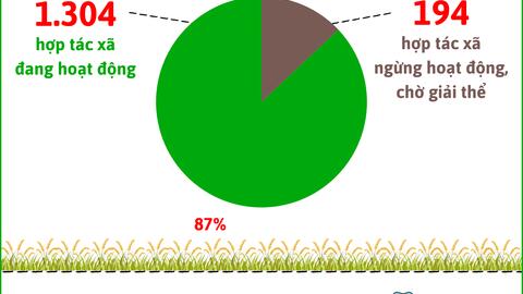 Hà Nội có 1.498 hợp tác xã nông nghiệp