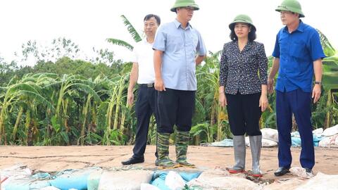 Hà Nội dồn lực cho xây dựng Nông thôn mới nâng cao, kiểu mẫu