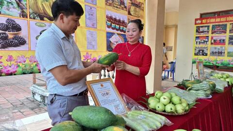 Huy động nguồn lực, hoàn thiện các tiêu chí Nông thôn mới kiểu mẫu