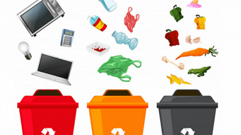 Phân loại rác tại nguồn: Từ ý thức đến hành động