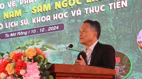 Sâm Việt Nam nhìn từ góc độ lịch sử, khoa học và thực tiễn