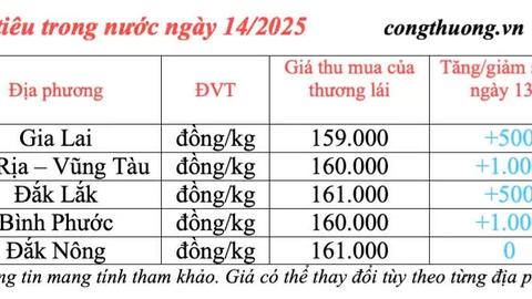 Giá tiêu hôm nay 14/3/2025 duy trì mức tăng