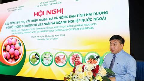 Hải Dương tích cực xúc tiến thương hiệu vải thiều Thanh Hà