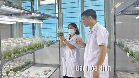 Ứng dụng công nghệ cao - hướng đi bền vững trong sản xuất nông nghiệp