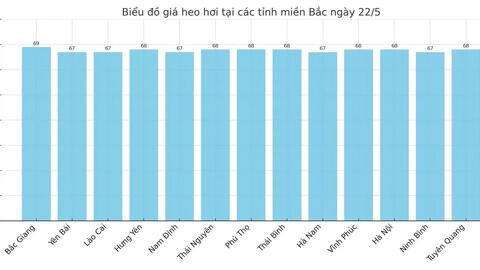 Giá heo hơi hôm nay 22/5/2025: Tăng nhẹ tại miền Nam