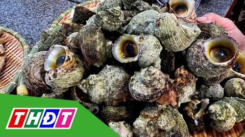 Ốc cừ hải sản đảo Lý Sơn | THDT
