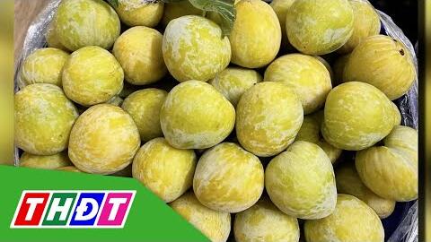 Mận cau Trung Quốc lại đổ bộ chợ Việt | THDT