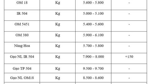 Giá lúa gạo hôm nay ngày 15/9: Gạo xuất quay đầu tăng, lúa vững giá