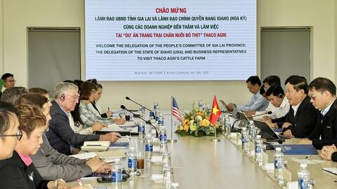 Gia Lai – Idaho (Mỹ) hợp tác phát triển bò thịt công nghệ cao