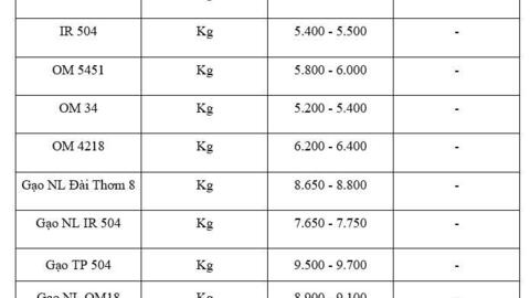Giá lúa gạo hôm nay ngày 5/2/2026: Gạo thơm neo cao