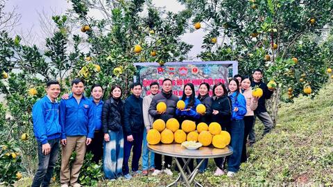 Lạng Sơn tổ chức phiên Livestream quảng bá nông sản, đặc sản