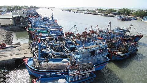 Thủy sản Việt Nam tổn thất khoảng 480 triệu USD mỗi năm nếu bị “thẻ đỏ”