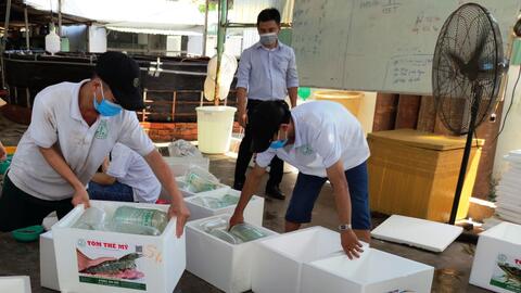 Thủy sản khó tiêu thụ, người nuôi duy trì sản xuất chờ giá lên 