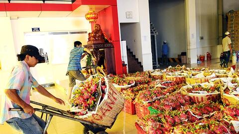 Xuất khẩu nông sản, thuỷ sản sang Hà Lan: Giải bài toán cạnh tranh về giá