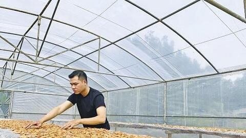 Khởi nghiệp xanh từ tài nguyên bản địa