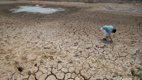 Biến đổi khí hậu là thách thức lớn nhất với sản xuất lương thực