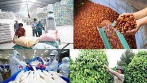 Ðẩy mạnh xúc tiến xuất khẩu nông, lâm, thủy sản sau dịch COVID-19