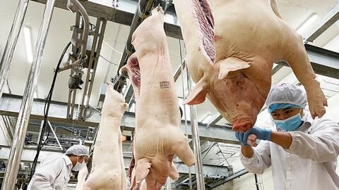 Xuất khẩu sản phẩm chăn nuôi bứt phá