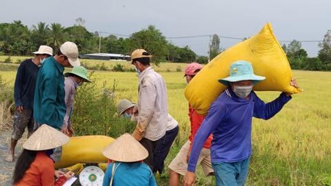 Ngành Nông nghiệp nỗ lực vượt khó! 