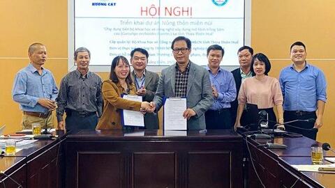 6 tỷ đồng phát triển mô hình trồng cây sâm cau công nghệ cao