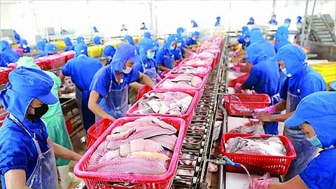 Xuất khẩu thủy sản: Kỳ vọng từ các mặt hàng chủ lực