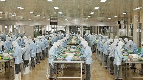 Xuất khẩu thủy sản giảm thiệt hại nhờ EVFTA