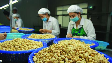 Thị trường Indonesia - Cơ hội nào cho nông sản Việt