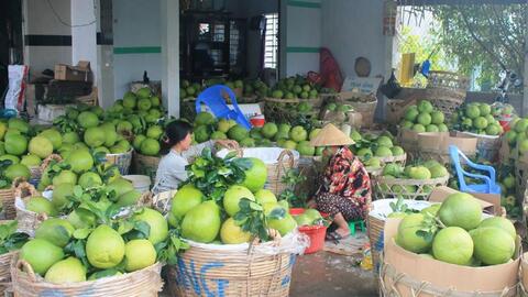 Kết nối cung cầu, thúc đẩy tiêu thụ nông sản thực phẩm dịp Tết Nguyên đán 2022 