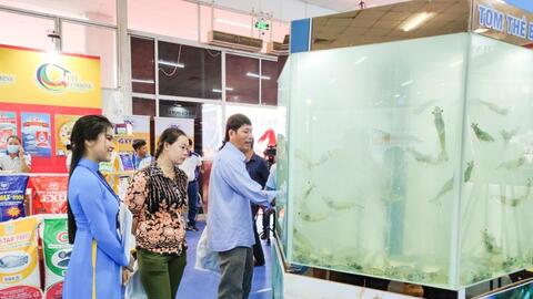 Xuất khẩu tôm dự báo đạt mức tăng trưởng cao 