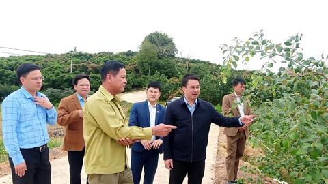 Sơn Động thắng lợi “kép” tạo nên những bước chuyển mới