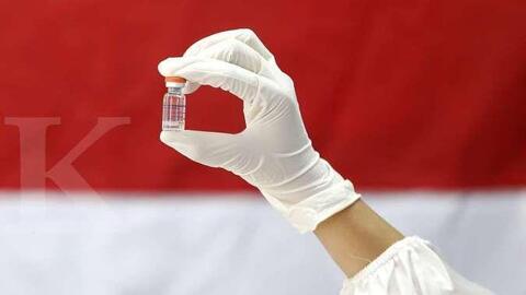 Indonesia sẽ ra mắt vaccine ngừa COVID-19 tự sản xuất trong quý III/2022